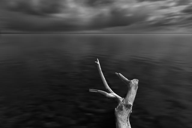 著名风光摄影家加拿大籍华裔艺术家段岳衡先生来美术公司学术交流