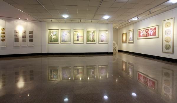 悟空体育2013届毕业作品展隆重开展